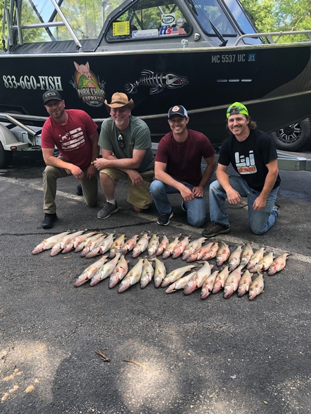 awesome afternoon trip in the sun.